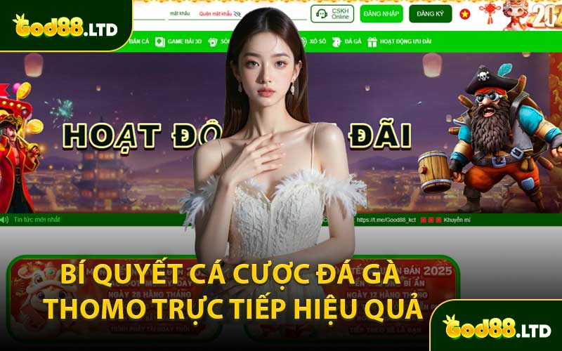 Bí Quyết Cá Cược Đá Gà Thomo Trực Tiếp Hiệu Quả