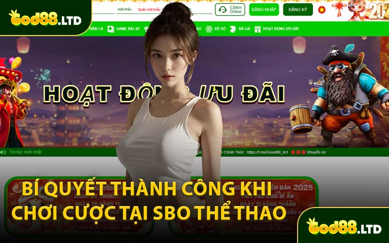 Bí Quyết Thành Công Khi Chơi Cược Tại SBO Thể Thao