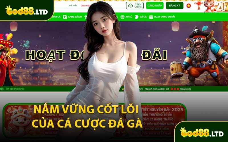 Nắm Vững Cốt Lõi Của Cá Cược Đá Gà