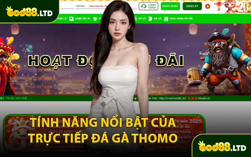 Tính Năng Nổi Bật Của Trực Tiếp Đá Gà Thomo 