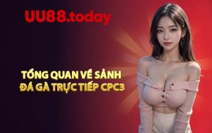 Tổng quan về sảnh đá gà trực tiếp CPC3