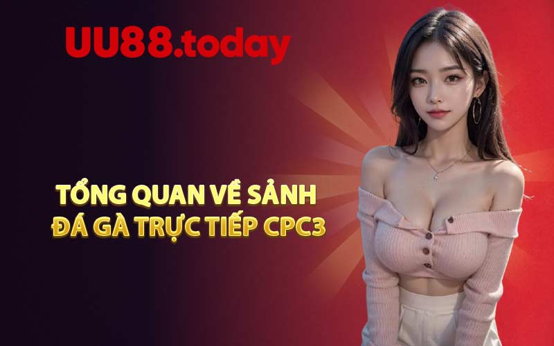 Tổng quan về sảnh đá gà trực tiếp CPC3