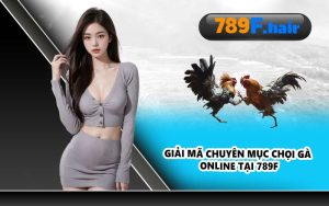Giải mã chuyên mục chọi gà online tại 789F