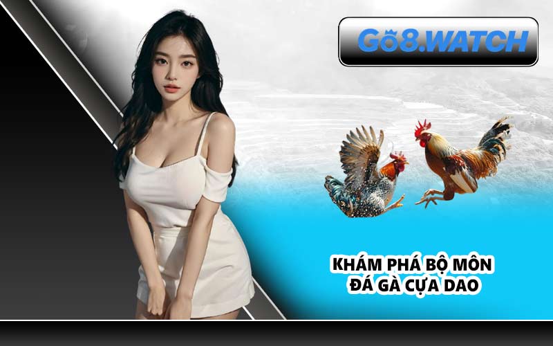 Khám phá bộ môn đá gà cựa dao